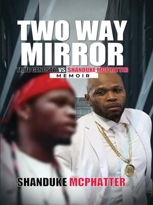 cover image of Two Way Mirror